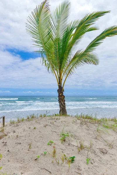 Itacare Bahia Eyalet Brezilya kuzeydoğu, muhteşem ve etkileyici Cennet plaj