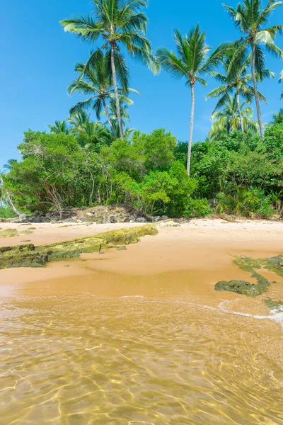 Itacare Brezilya Bahia State yakınındaki kıyılarına şaşırtıcı görünümü