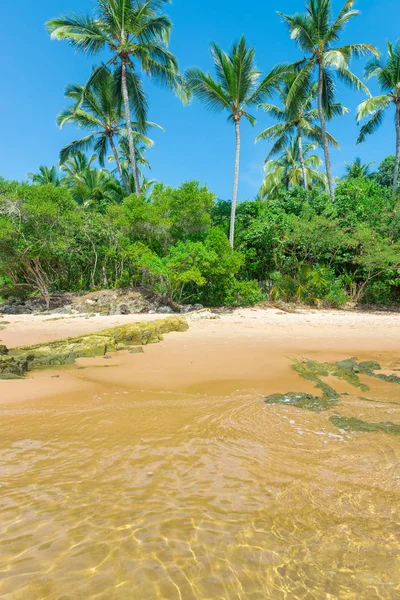 Plajda güzel manzaralar soyut ve doku formları