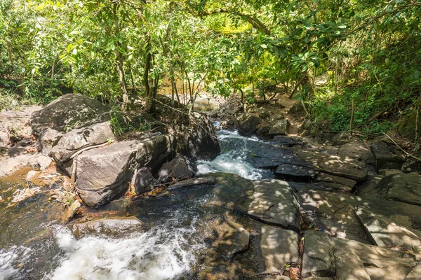 Şelale ve orman Itacare Bahia Brezilya akışında