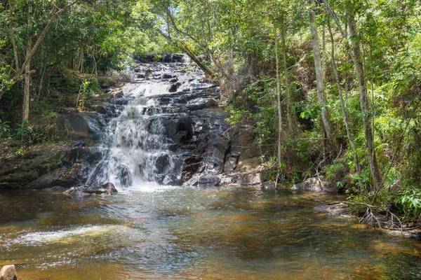 Nature with waterfall and stream in Itacare