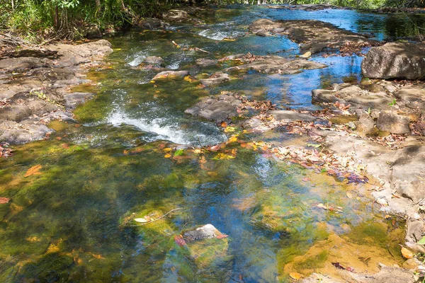 Waterval Duidelijke Stream Het Groene Woud Brazilië — Stockfoto