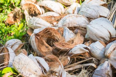 Farklı kahverengi tonlara sahip Hindistan cevizi kabuklarının soyut görüntüsü