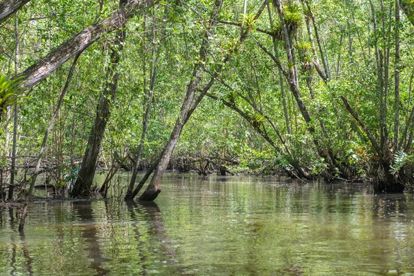 Gyönyörű Tájak Absztrakt Textúra Formák Strandon — Stock Fotó