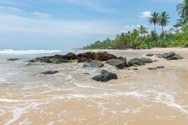 Itacare, Brezilya - 7 Aralık 2016: Bahia Itacarezinho Plajı'nda yeşil doğa şaşırtıcı