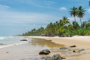 Itacare, Brezilya - 7 Aralık 2016: Bahia Itacarezinho Plajı'nda yeşil doğa şaşırtıcı