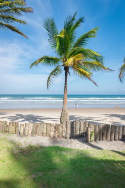 Şaşırtıcı plajları yakınındaki Itacare görünümünü 