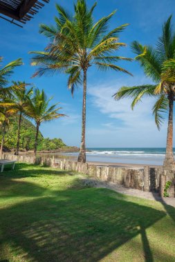 etkileyici Cennet plaj Itacare Bahia Brezilya 