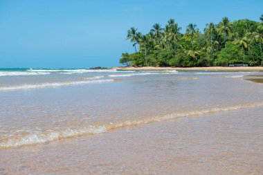 Itacare, Brezilya - 8 Aralık 2016: Güzel manzaralar ve su doku formları Itacare Brezilya'da Sahil tarafından