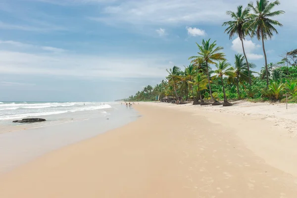 Itacare Brasil Dezembro 2016 Incrível Natureza Verde Praia Itacarezinho Bahia — Fotografia de Stock