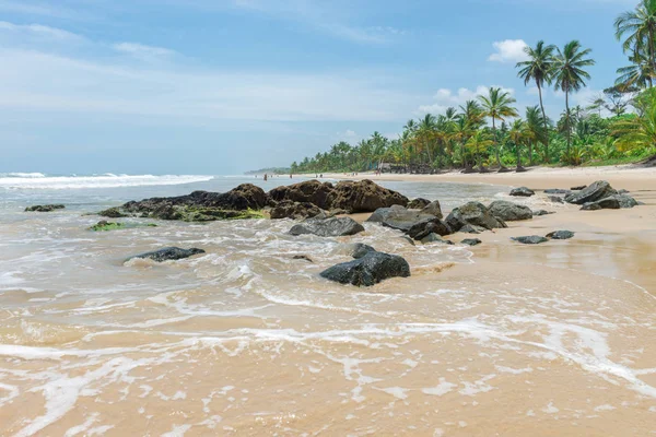 Itacare Brasil Dezembro 2016 Incrível Natureza Verde Praia Itacarezinho Bahia — Fotografia de Stock