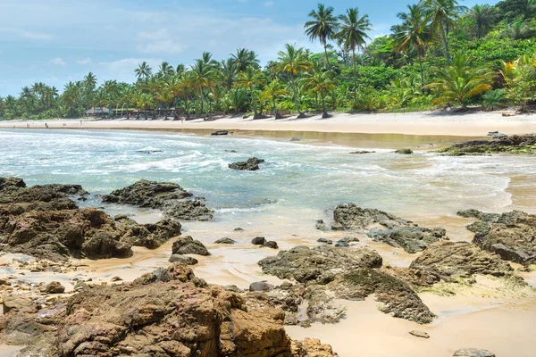 Verão cenário de praia cenário de praia paraíso tropical em Itacare — Fotografia de Stock