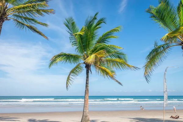 Импрессивный райский пляж в Itacare Bahia Brazil — стоковое фото