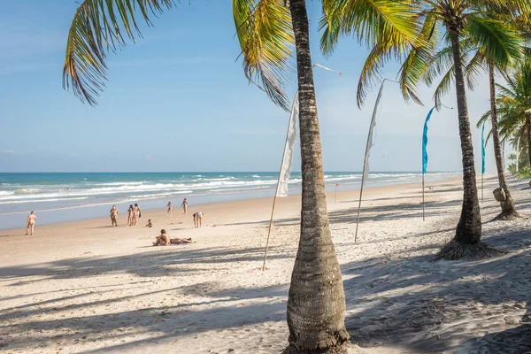 Itacare, Brezilya - 7 Aralık 2016: Etkileyici ve muhteşem Cennet plaj Itacare Bahia Eyalet Brezilya kuzeydoğu