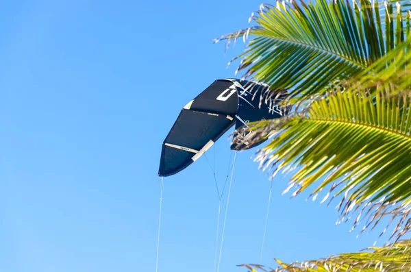 Kiteboarding tout près derrière les arbres et le ciel bleu — Photo