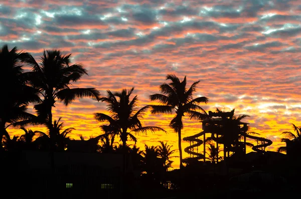 Pôr do sol hora de ouro com palmeiras como fundo — Fotografia de Stock