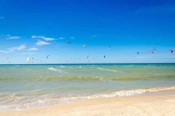 Muitos kite surfistas desfrutar de seu esporte amado — Fotografia de Stock