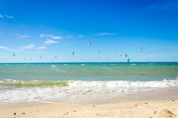 Muitos kite surfistas desfrutar de seu esporte amado — Fotografia de Stock