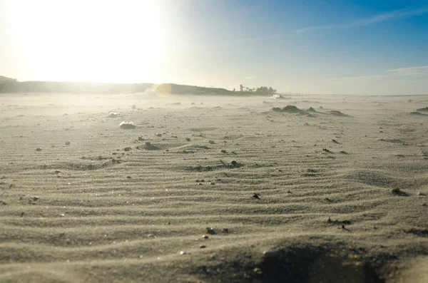 強風のためビーチに波状の砂 — ストック写真