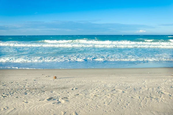 Vista de coco de una playa de arena blanca en Ceara — Foto de Stock