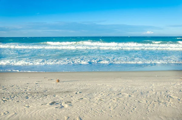 Coconut view of a white sand beach in Ceara