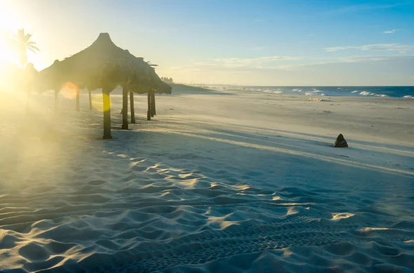 Několik Slunečníky Pláži Při Západu Slunce Pár Pozadí — Stock fotografie