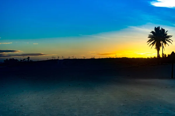 Paysage Plage Coucher Soleil Avec Des Moulins Vent Sur Fond — Photo