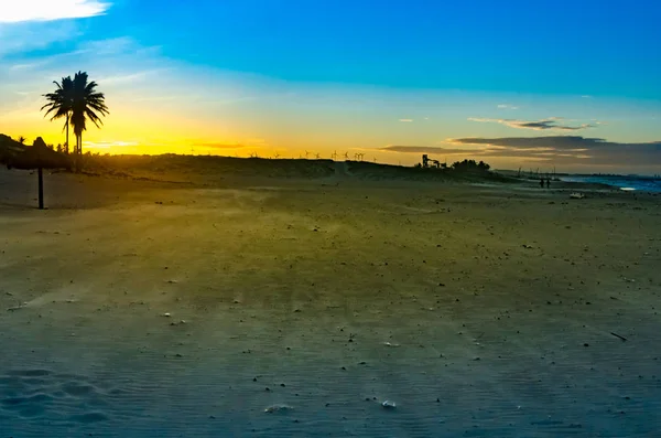 Paisaje de playa al atardecer con molinos de viento — Foto de Stock