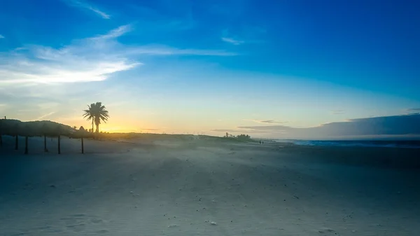 風車と夕暮れ時の浜辺の風景 — ストック写真