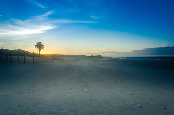 ภูมิทัศน์ชายหาดที่พระอาทิตย์ตกด้วยเครื่องปั่นลม — ภาพถ่ายสต็อก