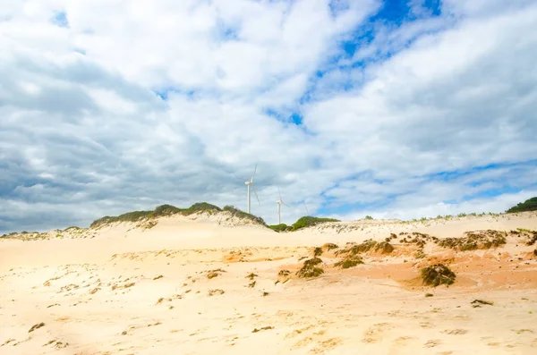 Farma větrných mlýnů se nachází v plážovém — Stock fotografie