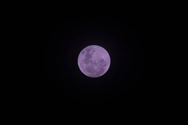 Efecto Color Magenta Super Luna Noche Primer Día Enero — Foto de Stock