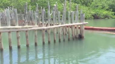 Denizayısı Sığınağı. Doğaya dönmek için gerekli şartları elde edene kadar esaret altında yaşarlar. Alagoas, Brezilya.