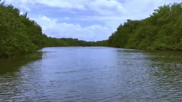 Segling Inåt Landet Den Blå Himlen Mitt Skogen Båtens Gunga — Stockvideo