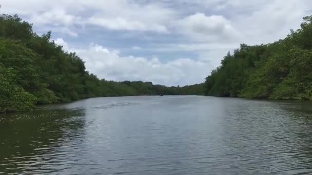 森の中の青い空の下で内陸にセーリング ボートのスイングがビデオに記録されています — ストック動画