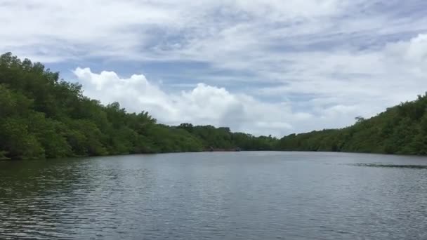森の中の青い空の下で内陸にセーリング ボートのスイングがビデオに記録されています — ストック動画