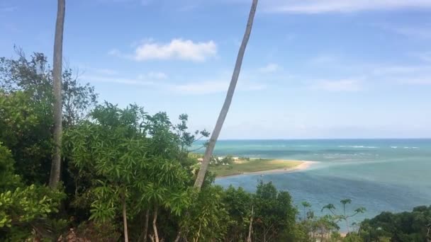 Красивые Пляжные Пейзажи Miguel Dos Milagres Штат Алагоас Бразилия — стоковое видео