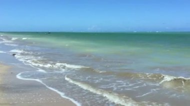 Alagoas eyaletindeki Miguel dos Milagres plajı, Brezilya
