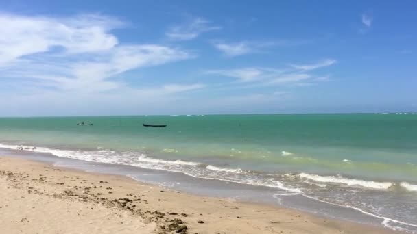 Prachtig Strand Miguel Dos Milagres Alagoas Brazilië — Stockvideo