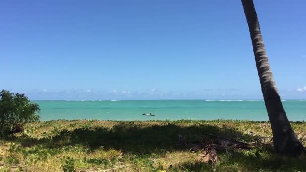 Alagoas Brezilya Miguel Dos Milagres Plajında Demirli Bir Tekne — Stok video