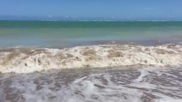 Hermosa Playa Miguel Dos Milagres Estado Alagoas Brasil — Vídeo de stock