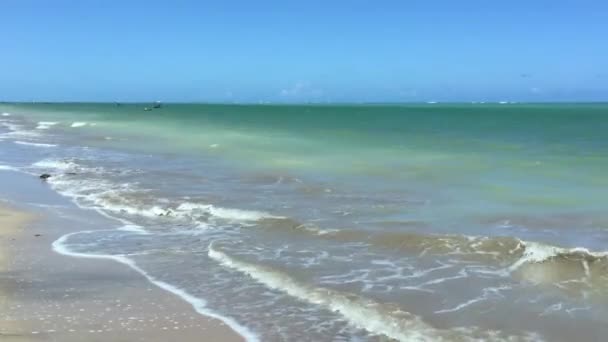 Bela Praia Miguel Dos Milagres Estado Alagoas Brasil — Vídeo de Stock