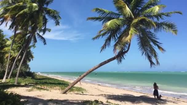 Mädchen Macht Ein Selfie Strand Miguel Dos Milagres Bundesstaat Alagoas — Stockvideo