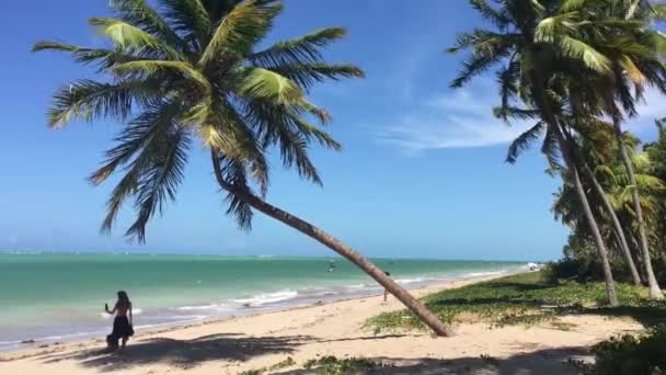 Alagoas Brasil Mar 2020 Menina Selfie Praia Miguel Dos Milagres — Vídeo de Stock