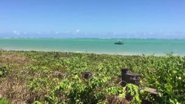 Aangemeerde Boot Miguel Dos Milagres Beach Alagoas Brazilië — Stockvideo