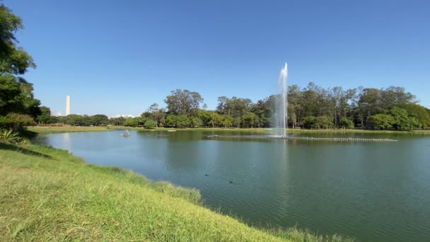 Sao Paulo Brasilien Maj 2020 Ibirapuera Park Största Staden Med — Stockvideo