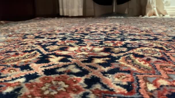 Little Yellow Budgie Having Fun Its Toy Carpet Home — Stock Video