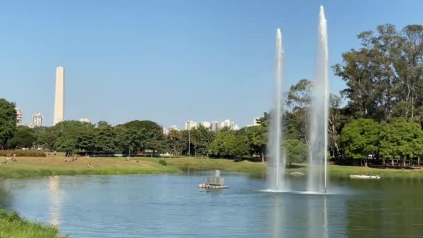 Vattenfontän Vid Parken Ibirapuera Största Offentliga Parken Sao Paulo Med — Stockvideo