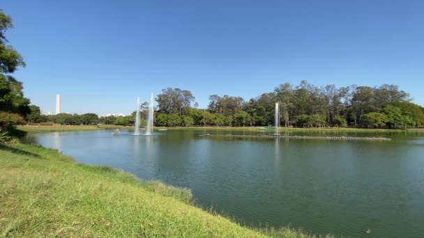 Fontanna Wodna Parku Ibirapuera Największy Park Publiczny Sao Paulo Muzeami — Wideo stockowe