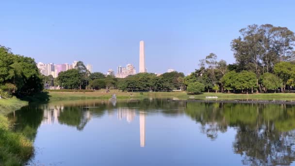 Airone Bianco Che Vola Basso Toccando Lago Nel Parco Pubblico — Video Stock